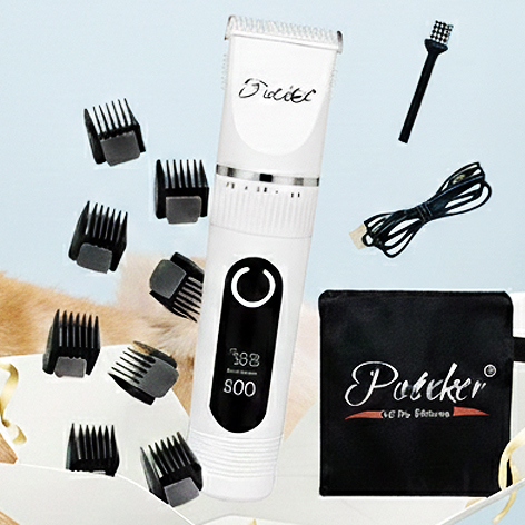 NEW-pateker-イメージ